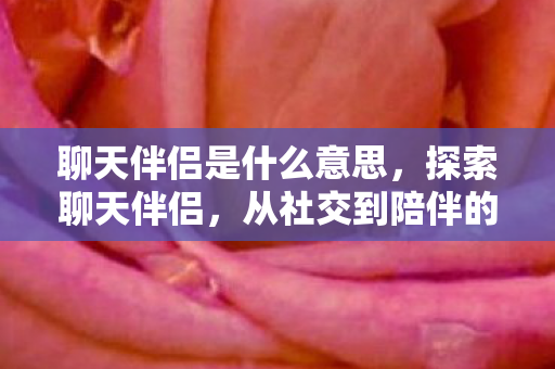 聊天伴侣是什么意思，探索聊天伴侣，从社交到陪伴的奇妙旅程