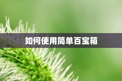 如何使用简单百宝箱