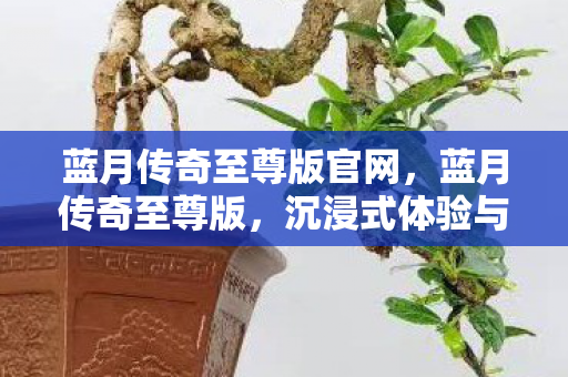 蓝月传奇至尊版官网，蓝月传奇至尊版，沉浸式体验与极致战斗的结合