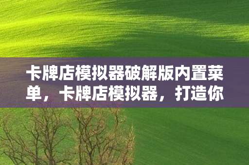 卡牌店模拟器破解版内置菜单，卡牌店模拟器，打造你的梦幻卡牌帝国