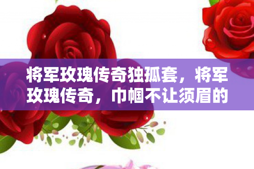 将军玫瑰传奇独孤套，将军玫瑰传奇，巾帼不让须眉的传奇故事