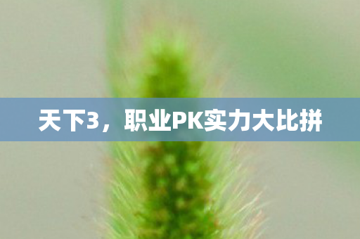 天下3，职业PK实力大比拼