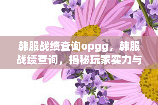 韩服战绩查询opgg，韩服战绩查询，揭秘玩家实力与荣耀的窗口