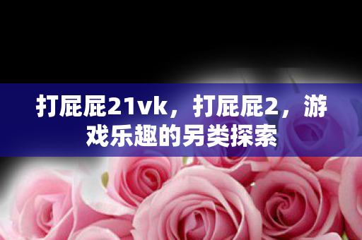 打屁屁21vk，打屁屁2，游戏乐趣的另类探索