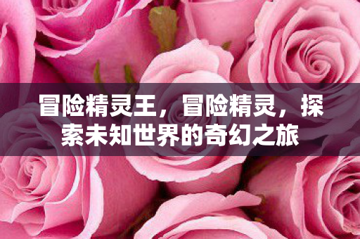冒险精灵王，冒险精灵，探索未知世界的奇幻之旅