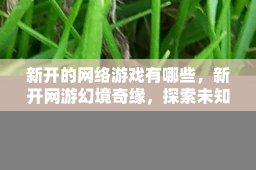新开的网络游戏有哪些，新开网游幻境奇缘，探索未知世界的奇幻之旅