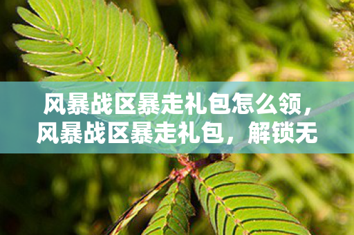 风暴战区暴走礼包怎么领，风暴战区暴走礼包，解锁无限可能的战斗体验