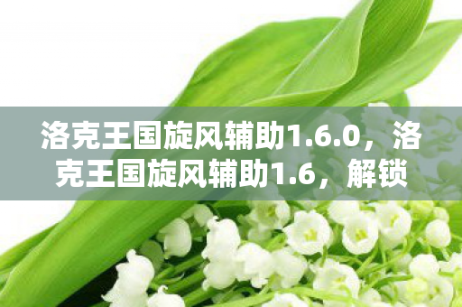 洛克王国旋风辅助1.6.0，洛克王国旋风辅助1.6，解锁游戏新境界的必备神器