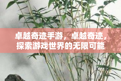 卓越奇迹手游，卓越奇迹，探索游戏世界的无限可能