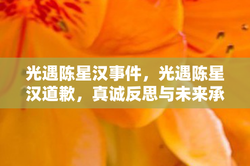 光遇陈星汉事件，光遇陈星汉道歉，真诚反思与未来承诺