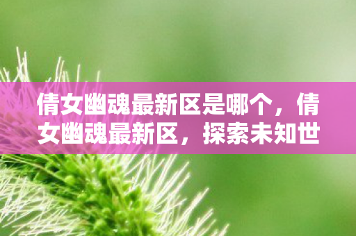 倩女幽魂最新区是哪个，倩女幽魂最新区，探索未知世界的奇幻之旅