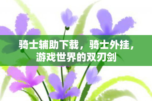 骑士辅助下载，骑士外挂，游戏世界的双刃剑