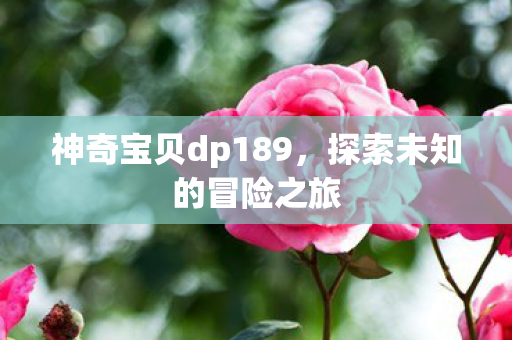 神奇宝贝dp189，探索未知的冒险之旅