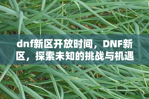 dnf新区开放时间，DNF新区，探索未知的挑战与机遇