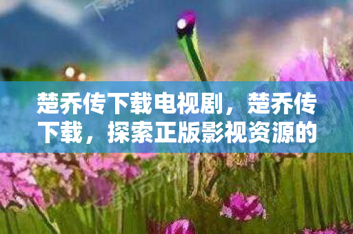 楚乔传下载电视剧，楚乔传下载，探索正版影视资源的便捷之道