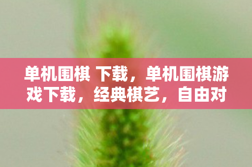 单机围棋 下载，单机围棋游戏下载，经典棋艺，自由对弈的乐园