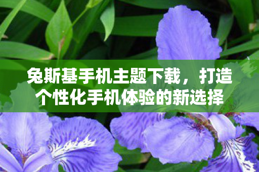 兔斯基手机主题下载，打造个性化手机体验的新选择