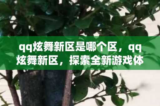 qq炫舞新区是哪个区，qq炫舞新区，探索全新游戏体验，开启音乐舞蹈之旅