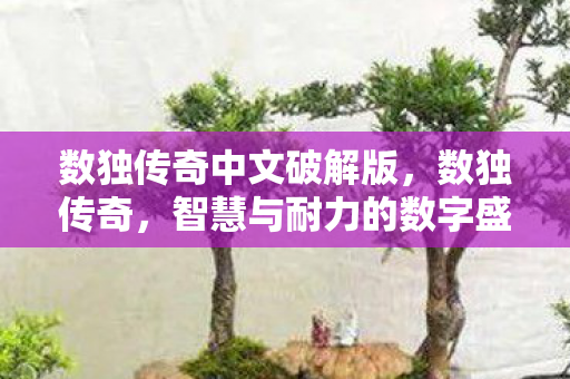 数独传奇中文破解版，数独传奇，智慧与耐力的数字盛宴