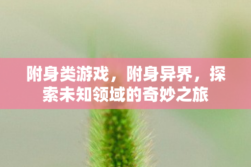 附身类游戏，附身异界，探索未知领域的奇妙之旅