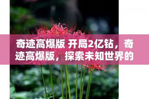 奇迹高爆版 开局2亿钻，奇迹高爆版，探索未知世界的无限可能