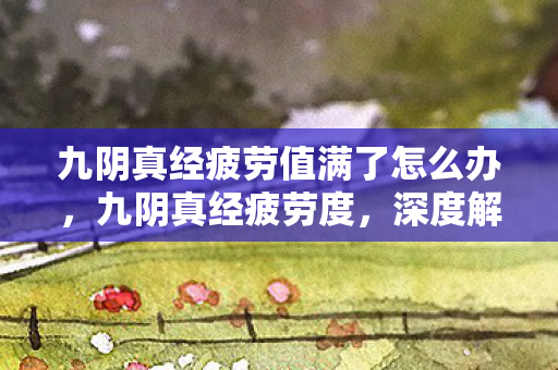 九阴真经疲劳值满了怎么办，九阴真经疲劳度，深度解析与应对策略
