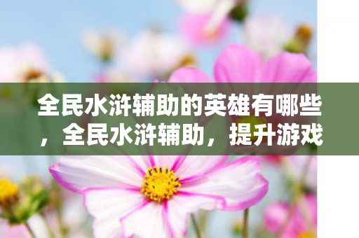 全民水浒辅助的英雄有哪些,全民水浒辅助,提升游戏体验的利器 全民水浒辅助的英雄有哪些,全民水浒辅助,提升游戏体验的利器