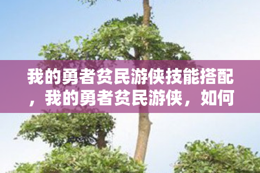我的勇者贫民游侠技能搭配，我的勇者贫民游侠，如何在有限的资源下打造高效战斗团队