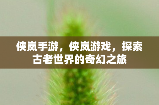 侠岚手游，侠岚游戏，探索古老世界的奇幻之旅