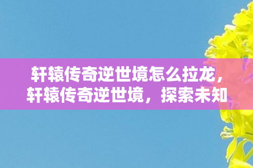 轩辕传奇逆世境怎么拉龙，轩辕传奇逆世境，探索未知世界的奇幻之旅