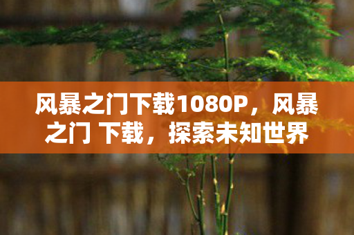 风暴之门下载1080P，风暴之门 下载，探索未知世界的数字钥匙