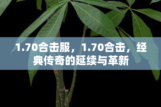 1.70合击服，1.70合击，经典传奇的延续与革新