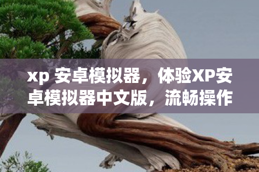 xp 安卓模拟器，体验XP安卓模拟器中文版，流畅操作与丰富应用的完美结合