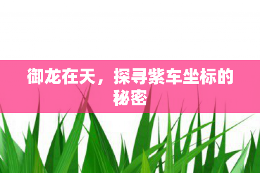 御龙在天，探寻紫车坐标的秘密