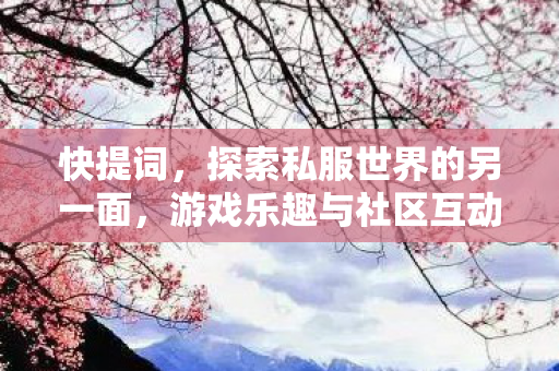 快提词，探索私服世界的另一面，游戏乐趣与社区互动的深度剖析