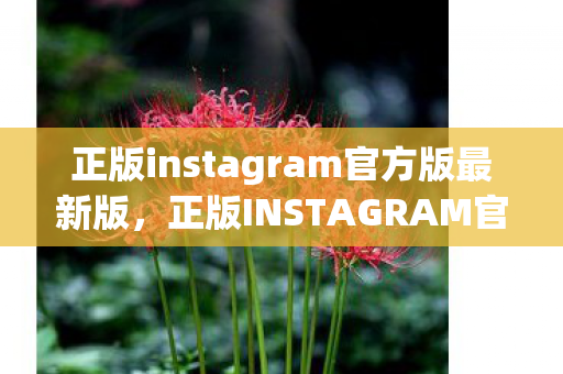 正版instagram官方版最新版,正版INSTAGRAM官方版,探索创意与社交的无限可能 正版instagram官方版最新版,正版INSTAGRAM官方版,探索创意与社交的无限可能