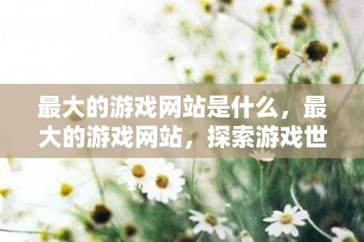 最大的游戏网站是什么,最大的游戏网站,探索游戏世界的无限可能 最大的游戏网站是什么,最大的游戏网站,探索游戏世界的无限可能