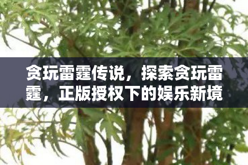 贪玩雷霆传说，探索贪玩雷霆，正版授权下的娱乐新境界