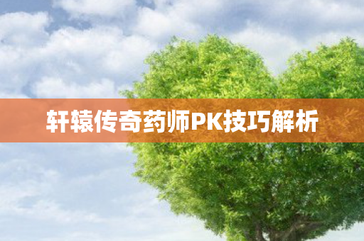 轩辕传奇药师PK技巧解析