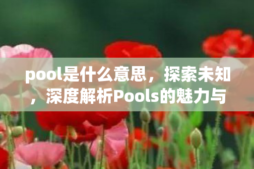 pool是什么意思，探索未知，深度解析Pools的魅力与应用