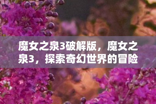魔女之泉3破解版,魔女之泉3,探索奇幻世界的冒险之旅 魔女之泉3破解版,魔女之泉3,探索奇幻世界的冒险之旅