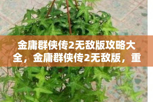 金庸群侠传2无敌版攻略大全,金庸群侠传2无敌版,重温经典,畅享无限江湖 金庸群侠传2无敌版攻略大全,金庸群侠传2无敌版,重温经典,畅享无限江湖