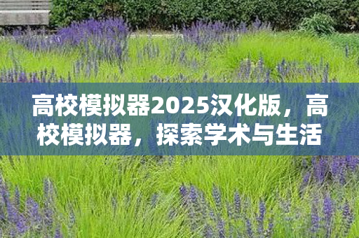 高校模拟器2025汉化版,高校模拟器,探索学术与生活的虚拟之旅 高校模拟器2025汉化版,高校模拟器,探索学术与生活的虚拟之旅