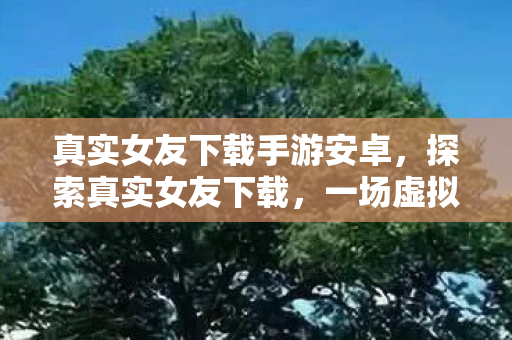 真实女友下载手游安卓，探索真实女友下载，一场虚拟与现实交织的浪漫之旅
