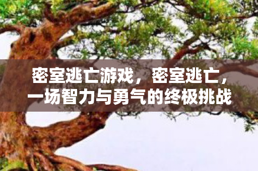 密室逃亡游戏，密室逃亡，一场智力与勇气的终极挑战