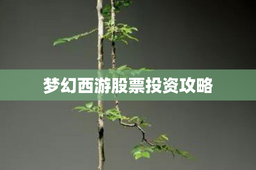 梦幻西游股票投资攻略