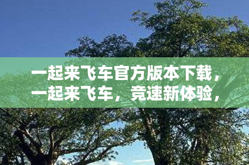一起来飞车官方版本下载，一起来飞车，竞速新体验，畅享速度与激情