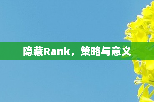 隐藏Rank，策略与意义