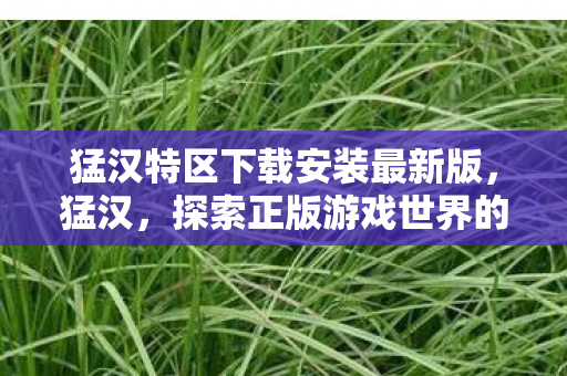 猛汉特区下载安装最新版，猛汉，探索正版游戏世界的魅力