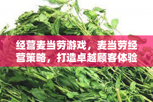 经营麦当劳游戏,麦当劳经营策略,打造卓越顾客体验与品牌忠诚度 经营麦当劳游戏,麦当劳经营策略,打造卓越顾客体验与品牌忠诚度